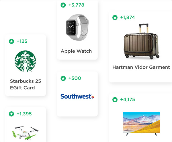 Partner rewards gift selection