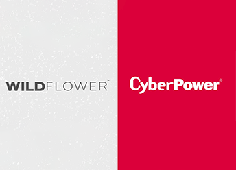 Wildflower International testimonial video thumbnail